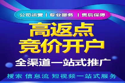 企业SEM投放实战技巧解析